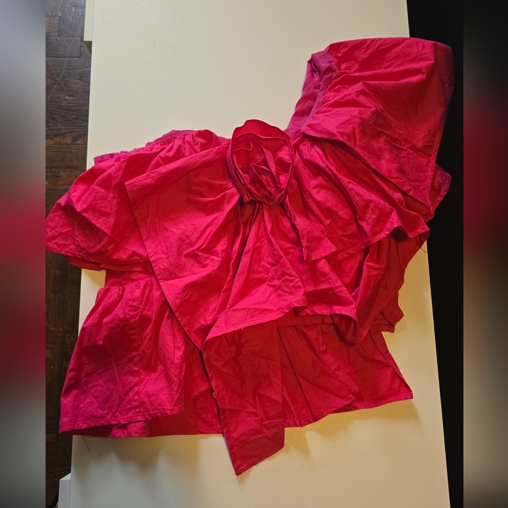 New York & Company Red Blouse